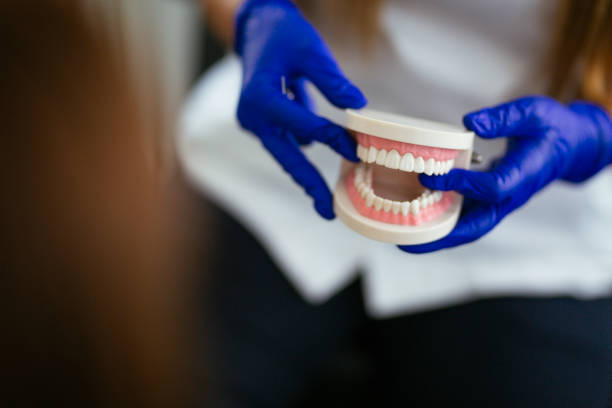Trusted Jessup, MD  Holistic Dental Services Experts